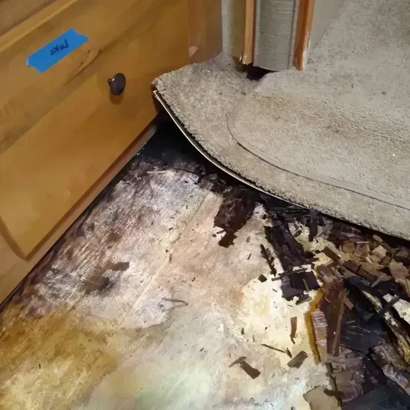 Wood Floor Water Damage in Rainbow, CA